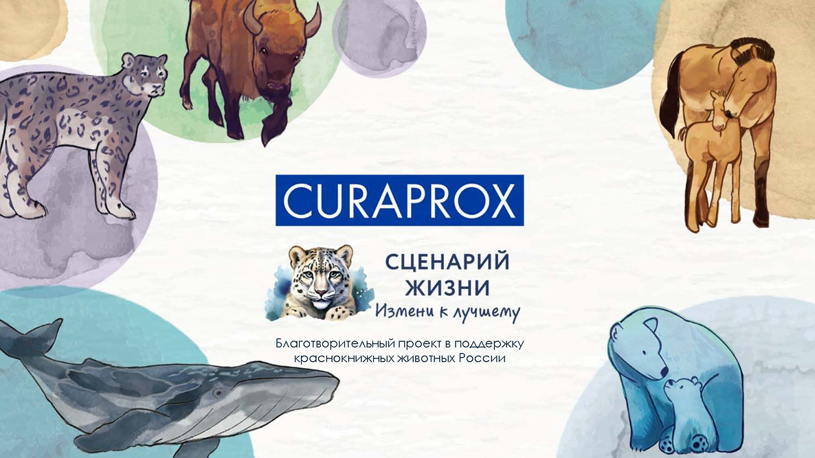 Сценарий жизни: Curaprox & Благотворительный фонд «Возрождение Природы»