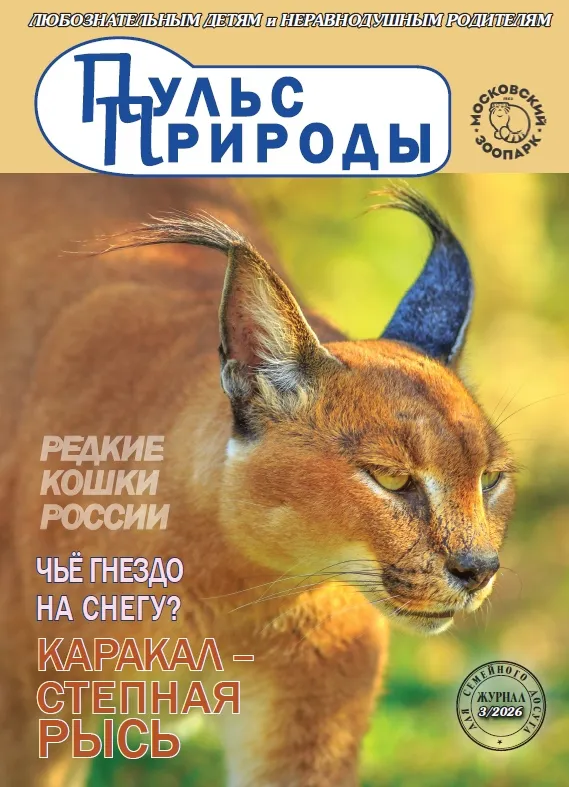 Пульс Природы Март 2026г.