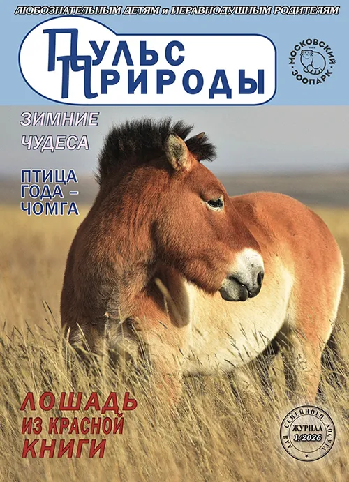 Пульс Природы Январь 2026г.