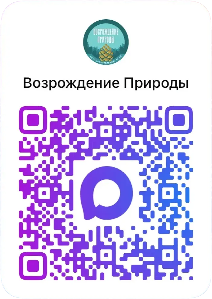 QR-код Макс