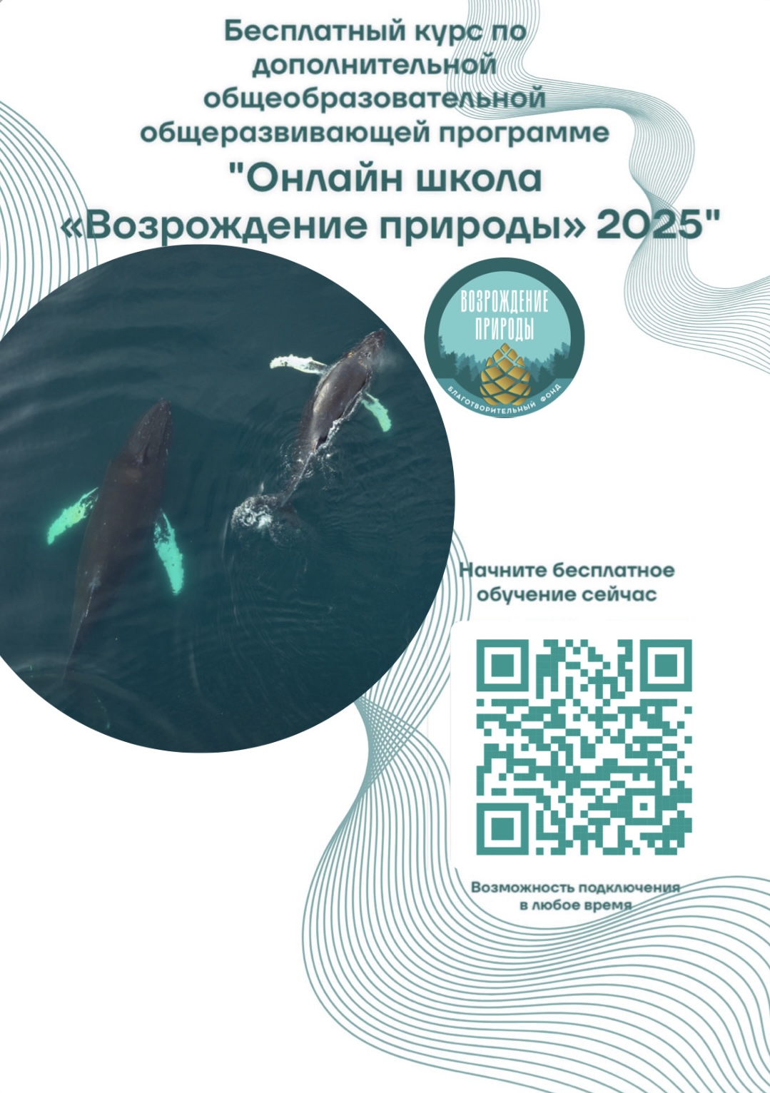 Бесплатный образовательный курс