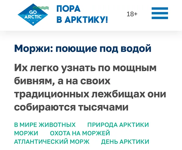 Портал «Пора в Арктику» опубликовал интересную статью о моржах, в которой рассказал о работе Благотворительного Фонда «Возрождение Природы»