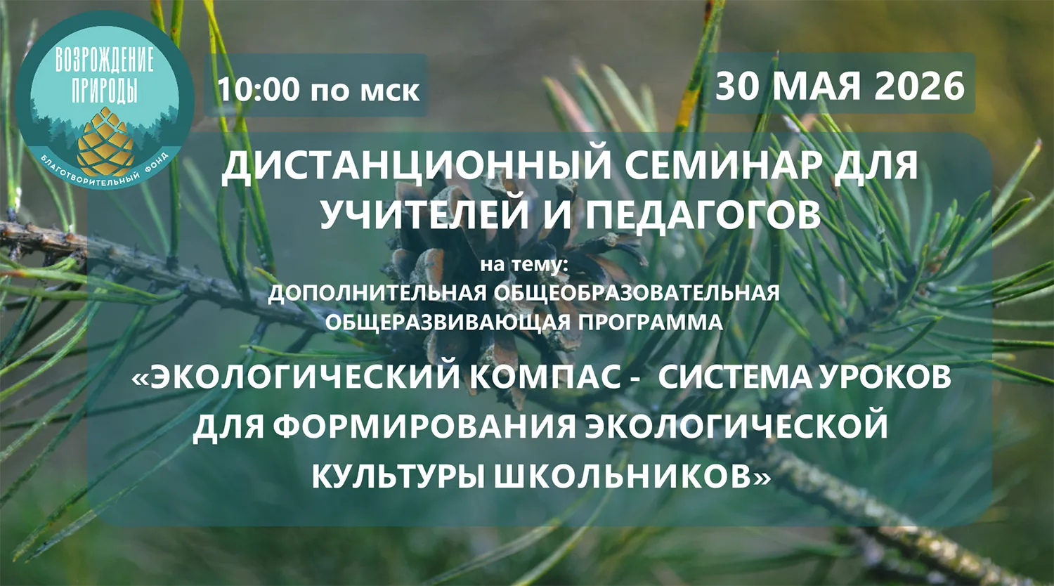 Дистанционный семинар для педагогов